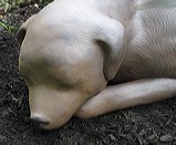 c2011_6_13bessie_1508